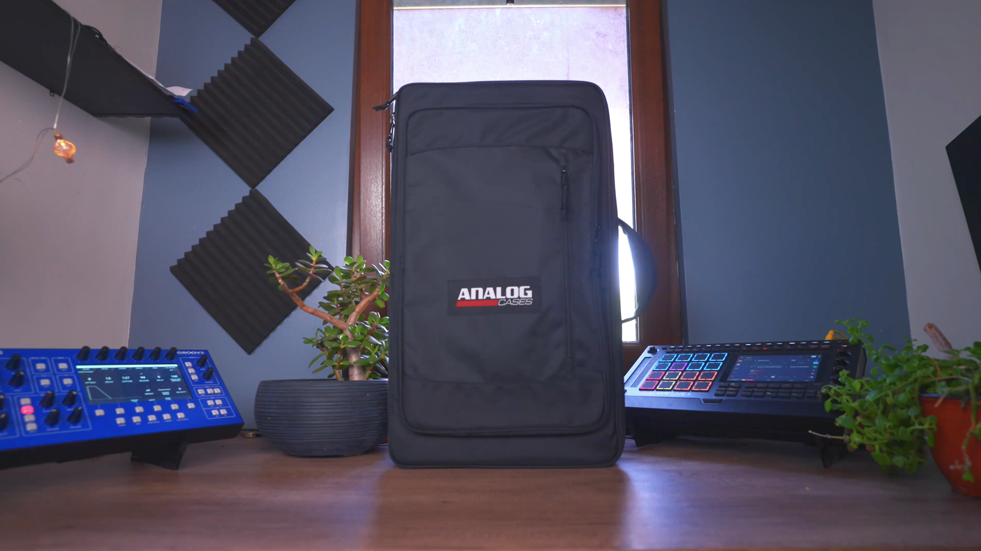 Amazon.com: Analog Cases Take 5 / TEO-5 Case - Padded Sustain Case