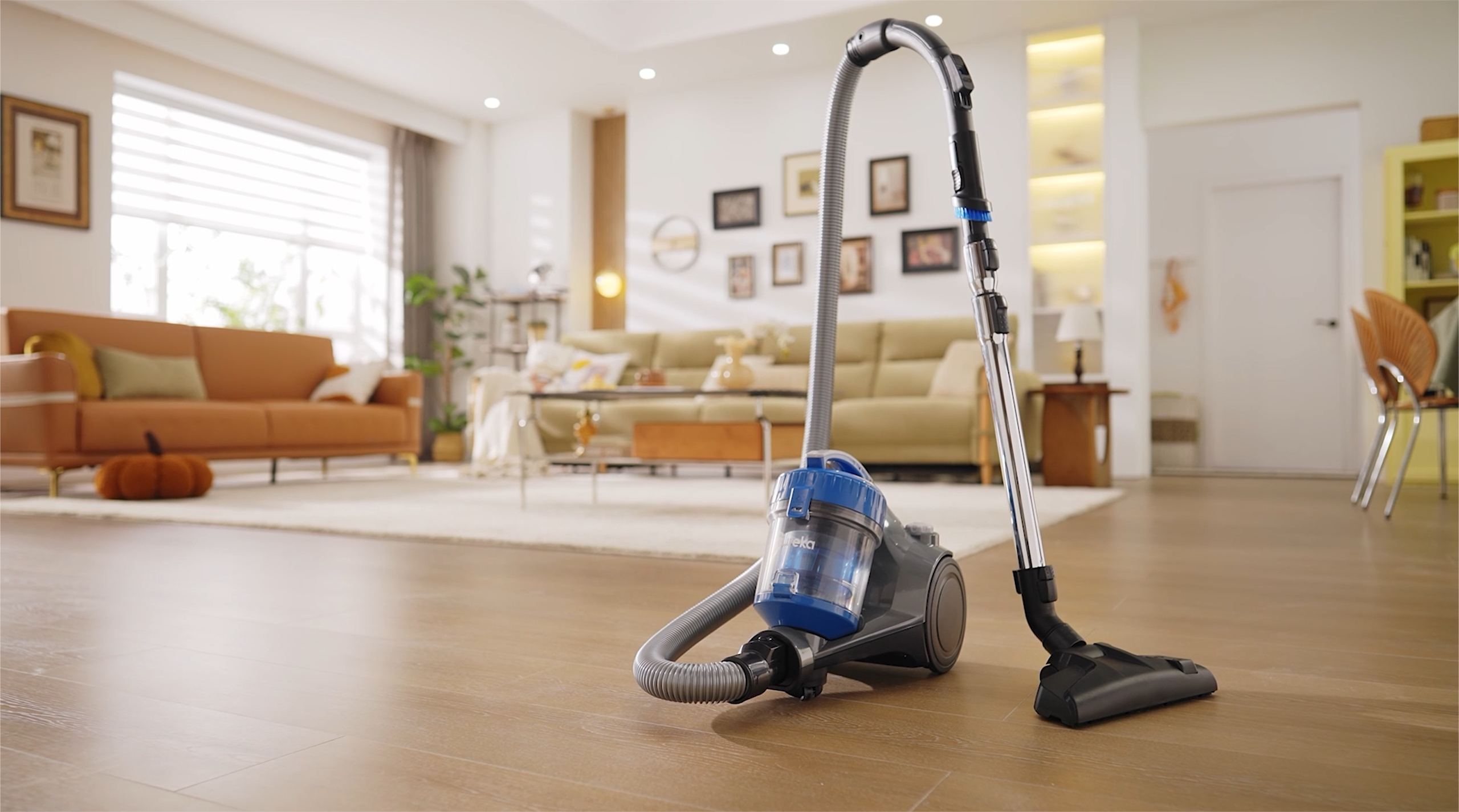 HQRP 2 Filtri Antipolvere Per Aspirapolvere Eureka Litespeed E Whirlwind Senza Sacco
