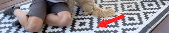 Video Widget Video Title Section