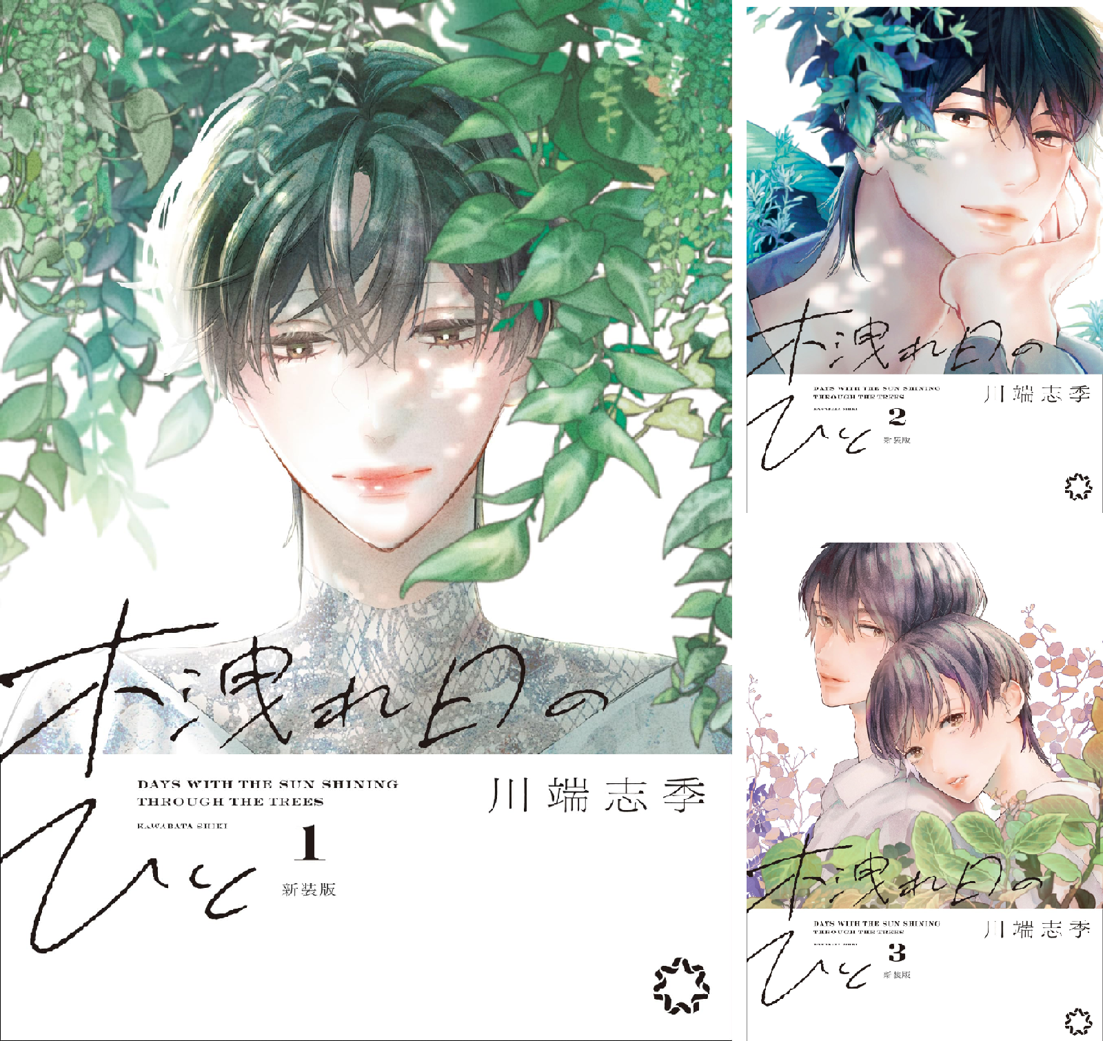 Amazon.co.jp: 木洩れ日のひと 新装版(5) (女性自身COMICS) : 川端志季: 本