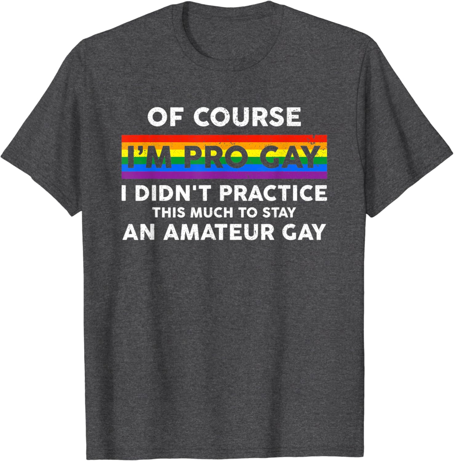 Funny Pro Gay Pride Awareness LGBT