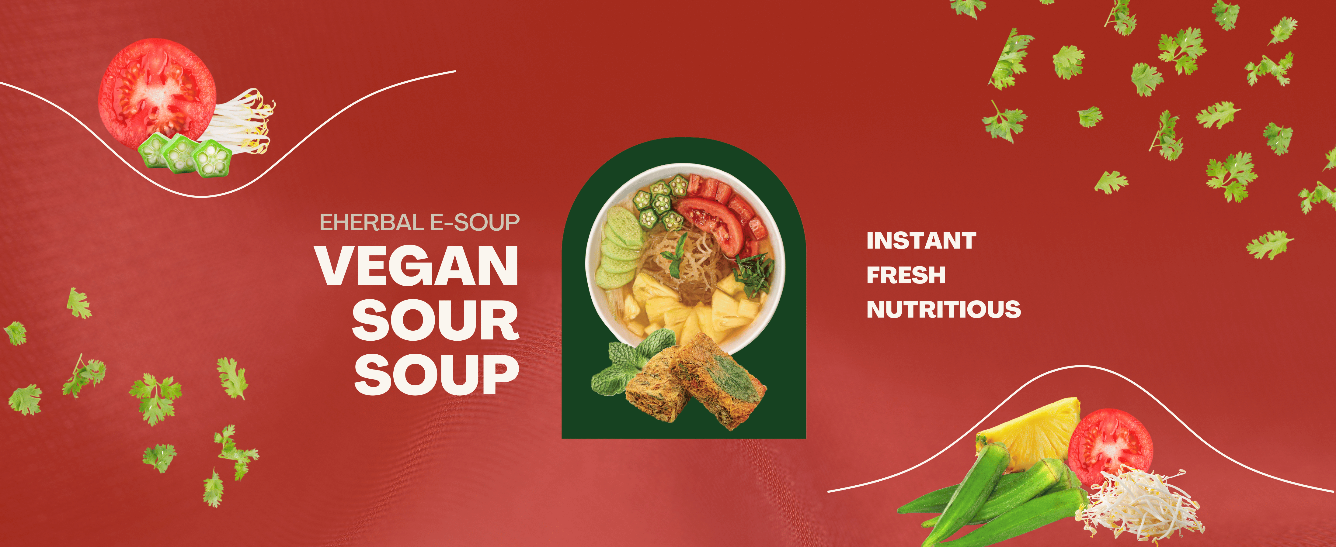 eHerbal Instant Freeze-Dried Sour Tomato Soup Cubes | Authentic Vietnamese Cuisine from Real Fresh Vegetables | Vegan, Quick & Delicious | 10 Servings, 120g (4.23oz)