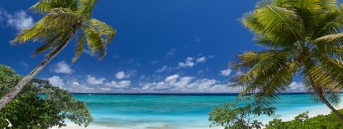 Nature Relaxation On Demand