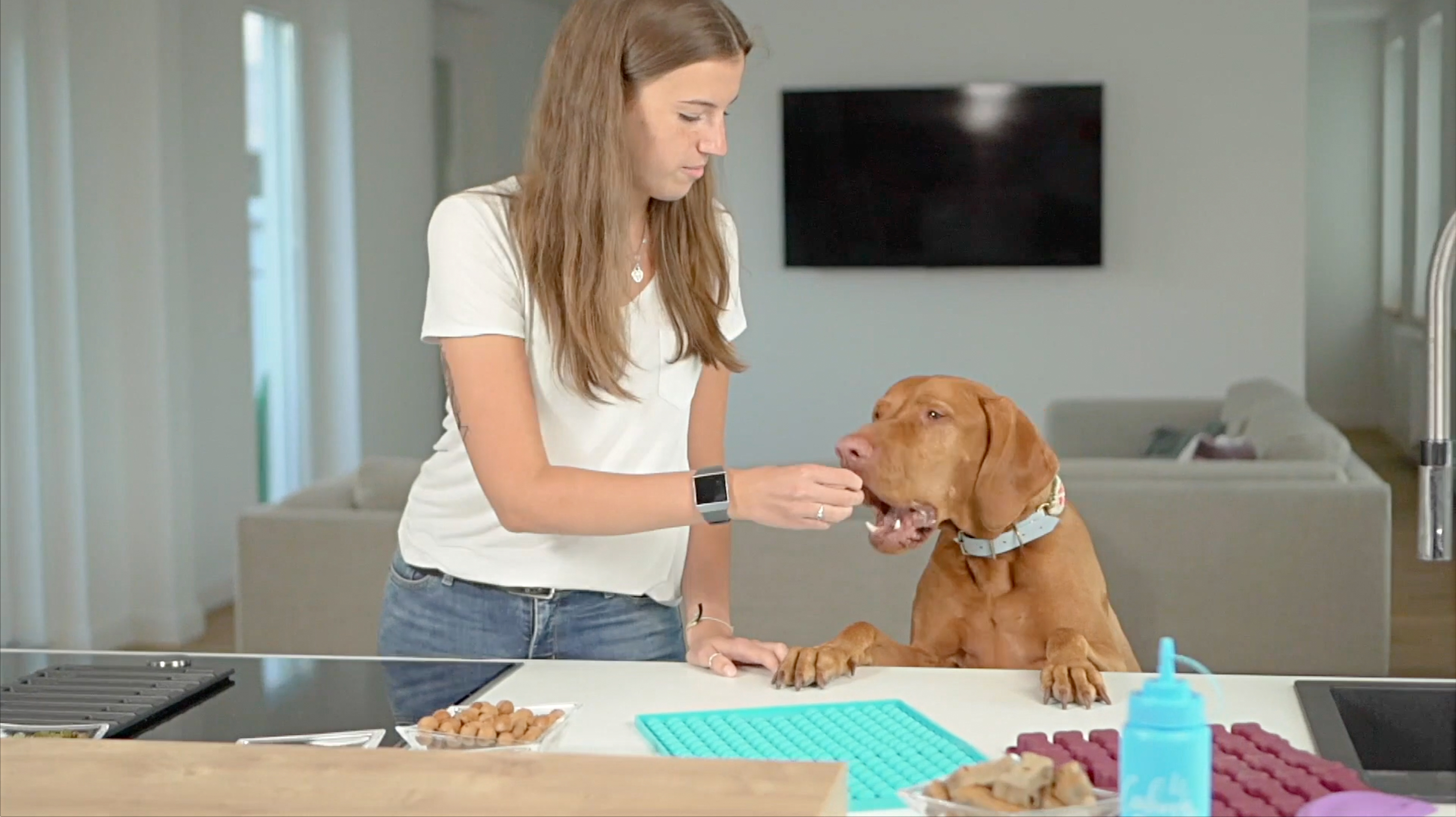 Collory Mini Fisch Backform - Silikonform Für Hundeleckerlis