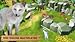 My Wild Pet Online - Cute Animal Rescue Simulator