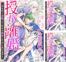 ☆専用☆ 「授か離婚〜7巻」他…。合計4冊。 授か離婚Ⅶ（秋水デジタルコミックス） | かんべあきら, 長野雪