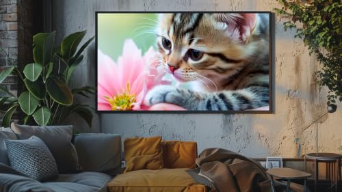Jazz relaxant pour chats - Chatons joueurs et mélodies douces – vue 2