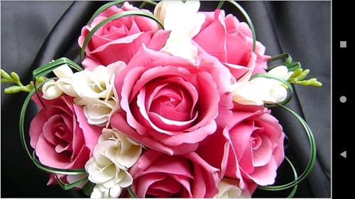 995 Flowers Wallpapers