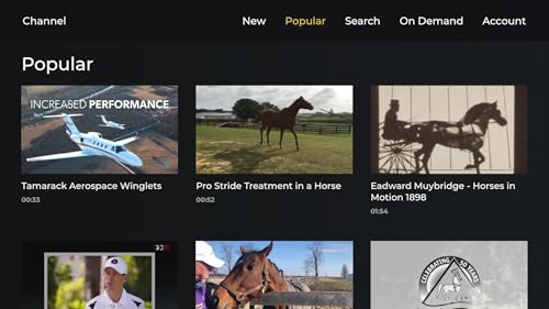 Equus The Equestrian Lifestyle #TOP2