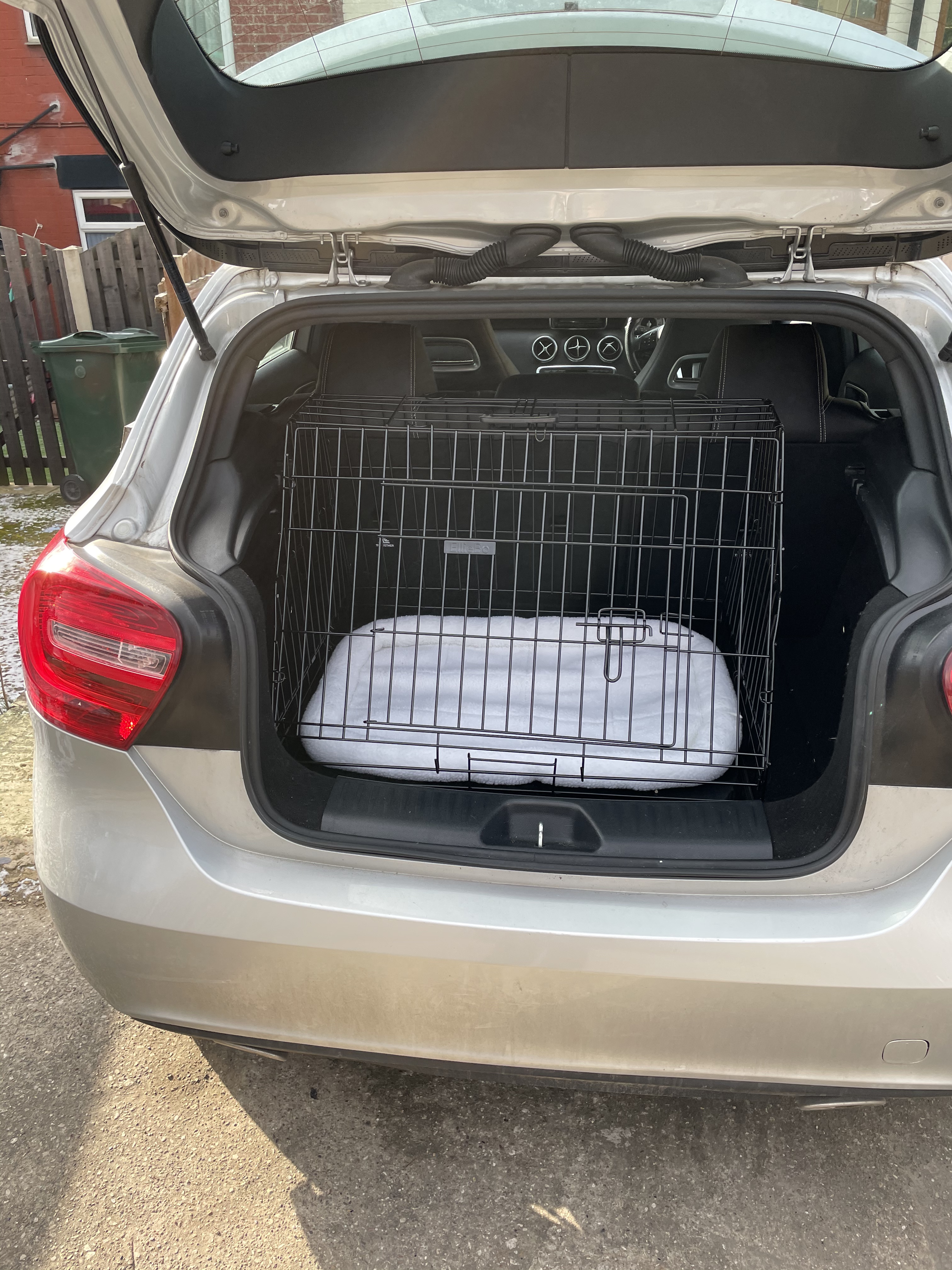 Customer photo