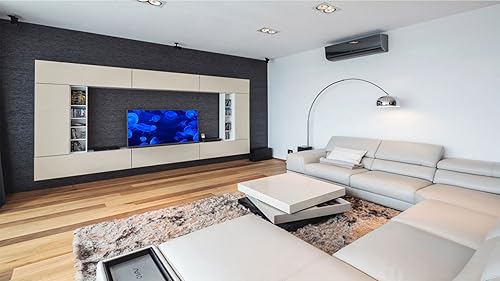 Blue Jelly Aquarium HD grátis - aproveite as belas medusas em sua TV HDR 4K, TV 8K e dispositivos de