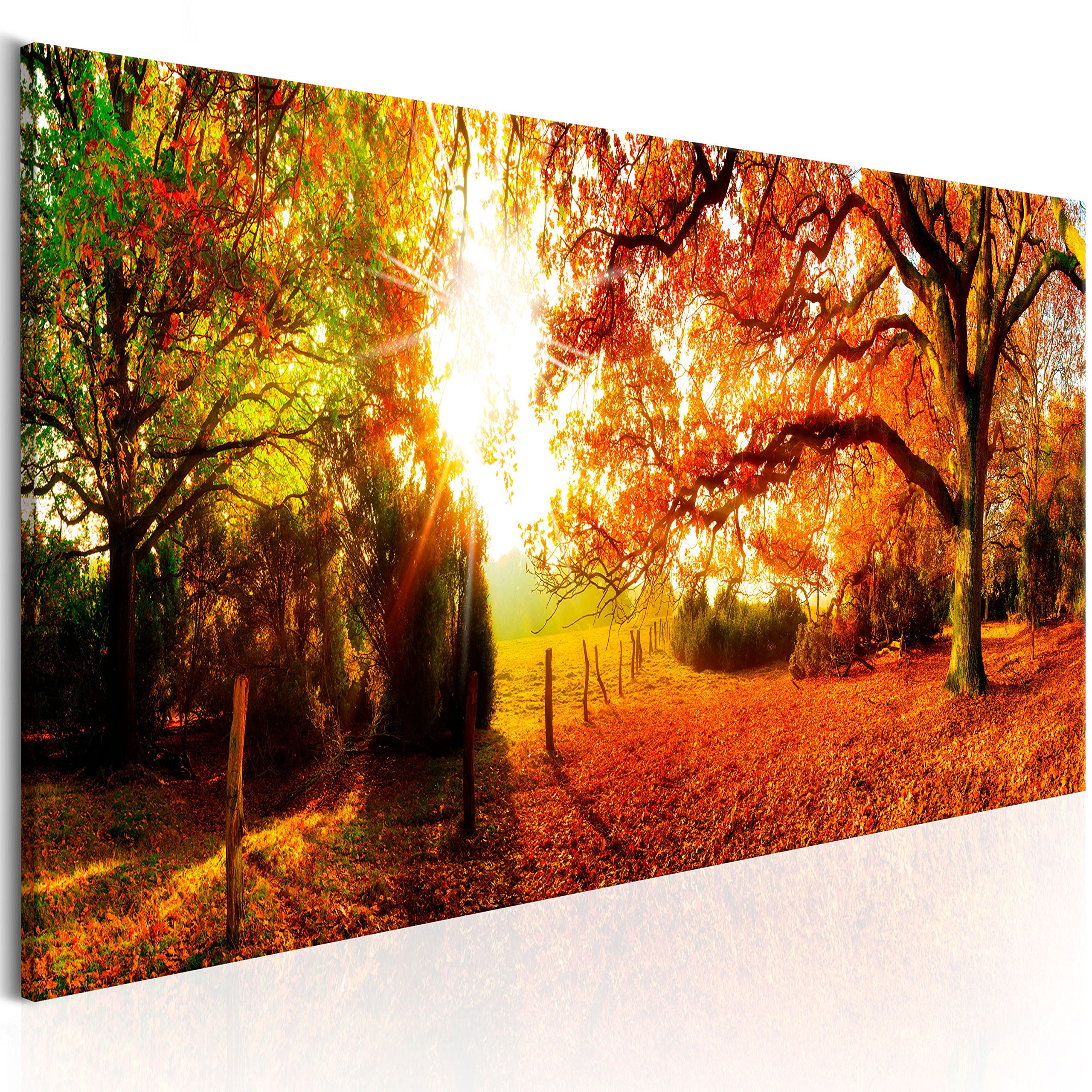 artgeist Acoustic Canvas Wall Art Print Forest 47x16 in - 1pcs Picture with Acoustic Foam Sound Print Artwork Room Acoustics Soundproofing c-B-0244-b-a