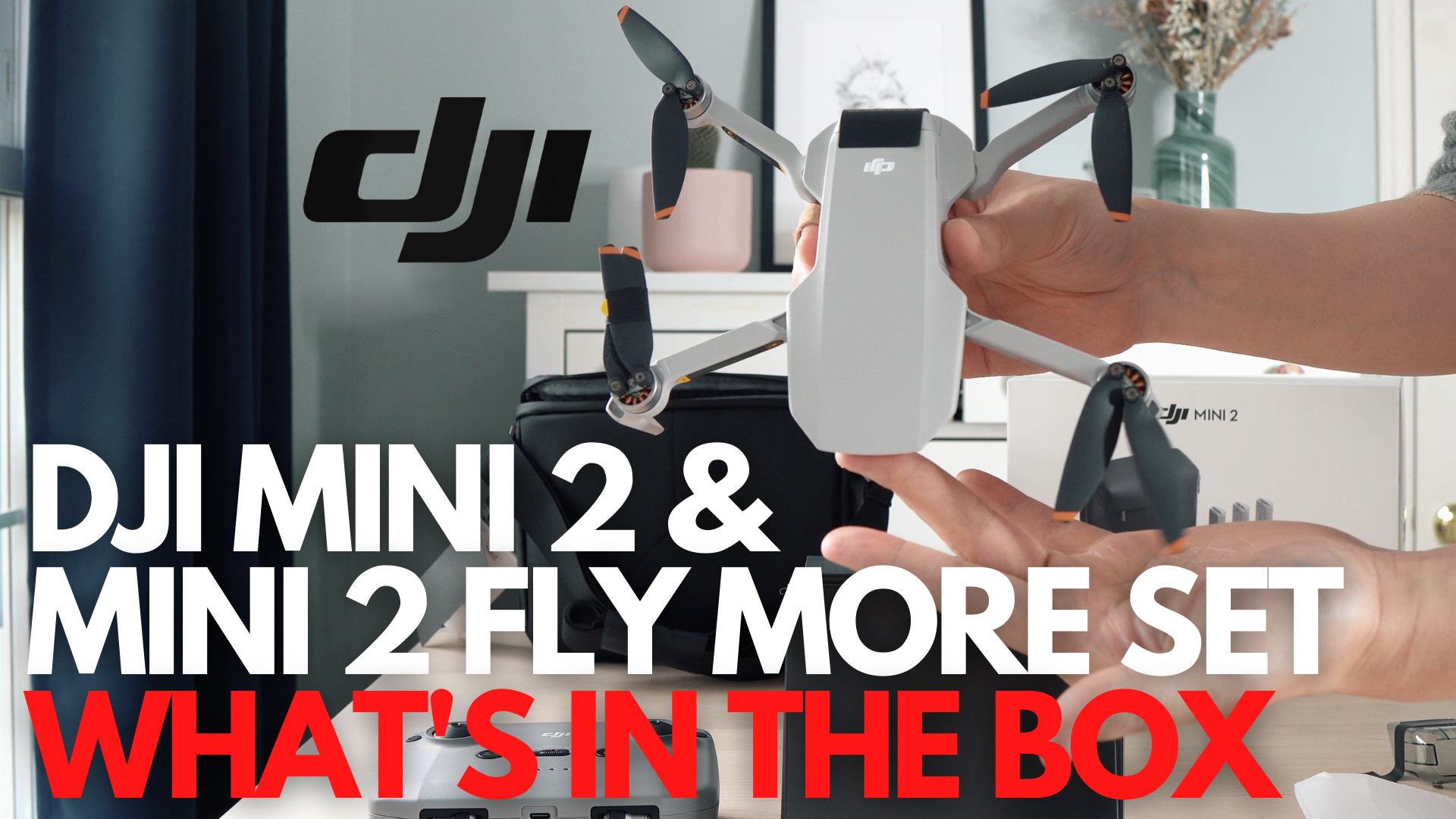 Watch DJI MINI 2 & FLY MORE COMBO - Everything in the Box on