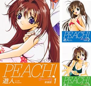 やるっきゃ騎士（新装版） (全11巻) Kindle版