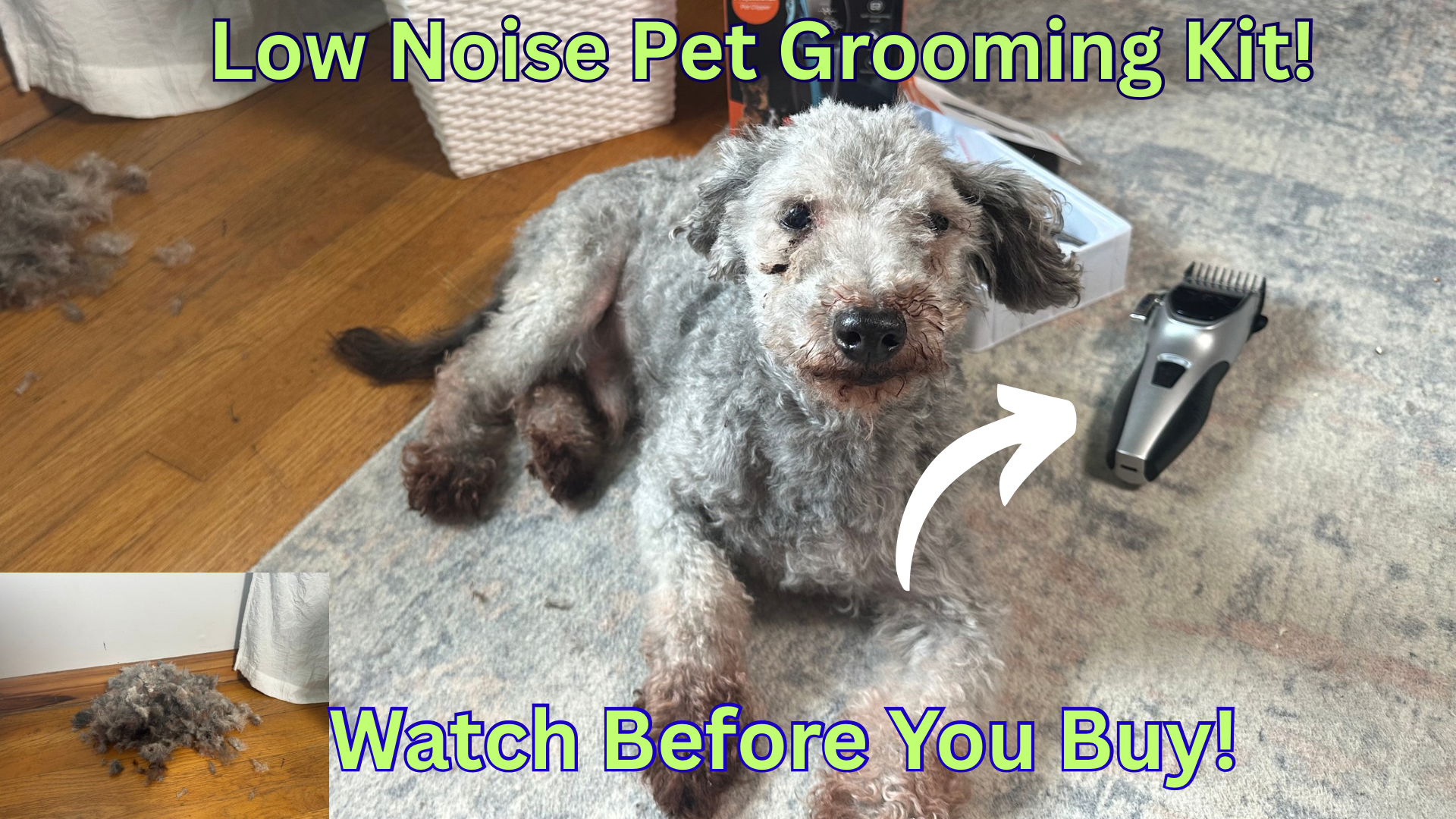 Watch Dog Grooming Kit Low Noise on Amazon Live