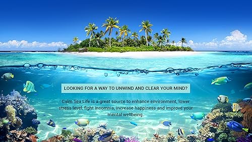 Calm Sea Life - Vídeos de Aquário e Relaxamento Subaquático