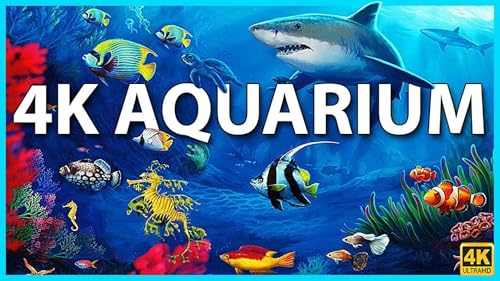 Aquário 4K VIDEO (ULTRA HD)