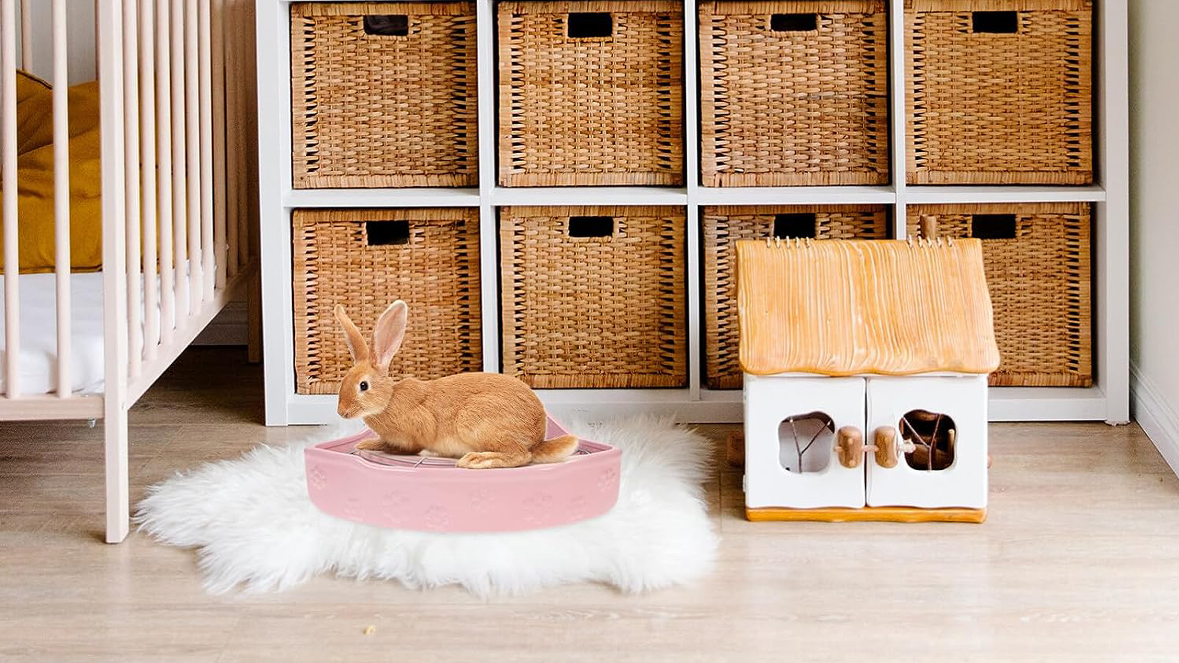 Amazon | うさぎ トイレ 陶器 カワイ 飼育ケージ内装 三角 兎