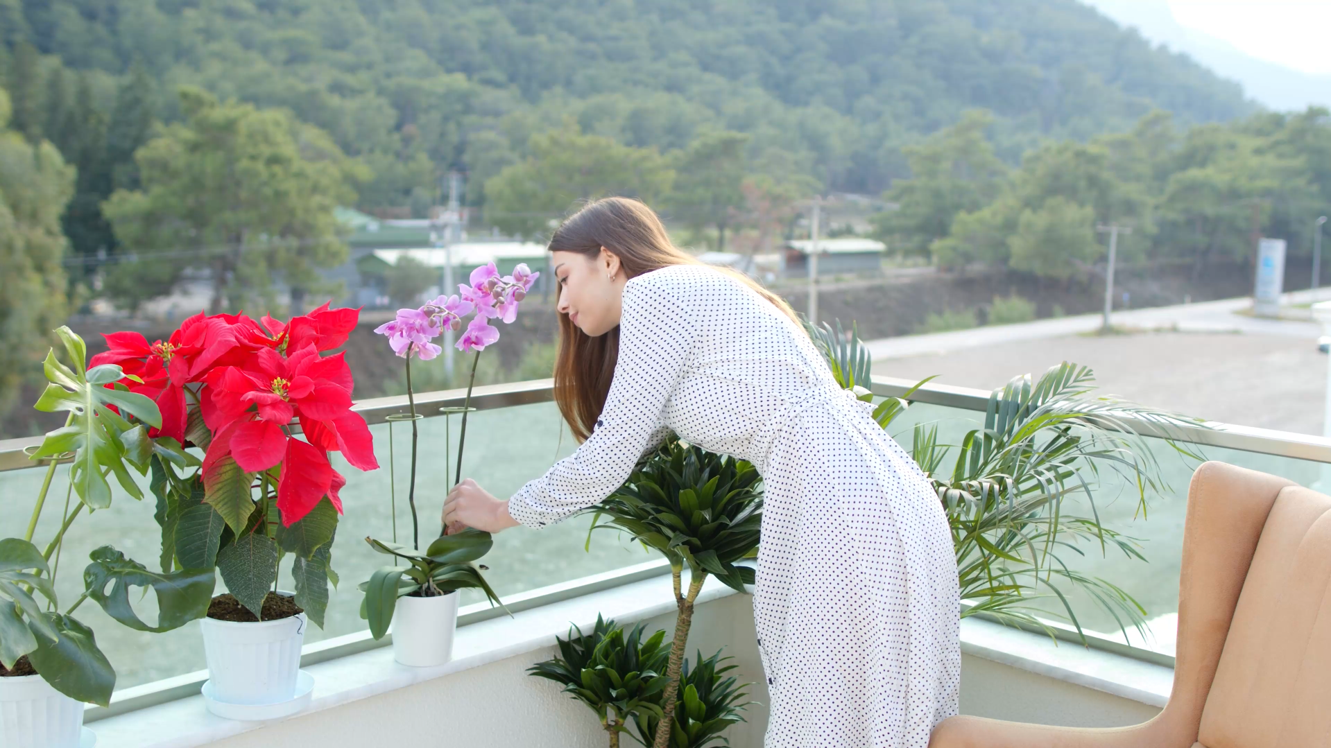 2 Sostegni Per Piante Verdi - Supporto Per Orchidee, Pomodori, Peonie E Piante Alte Da Vaso