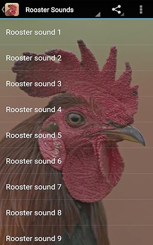 Rooster Sounds
