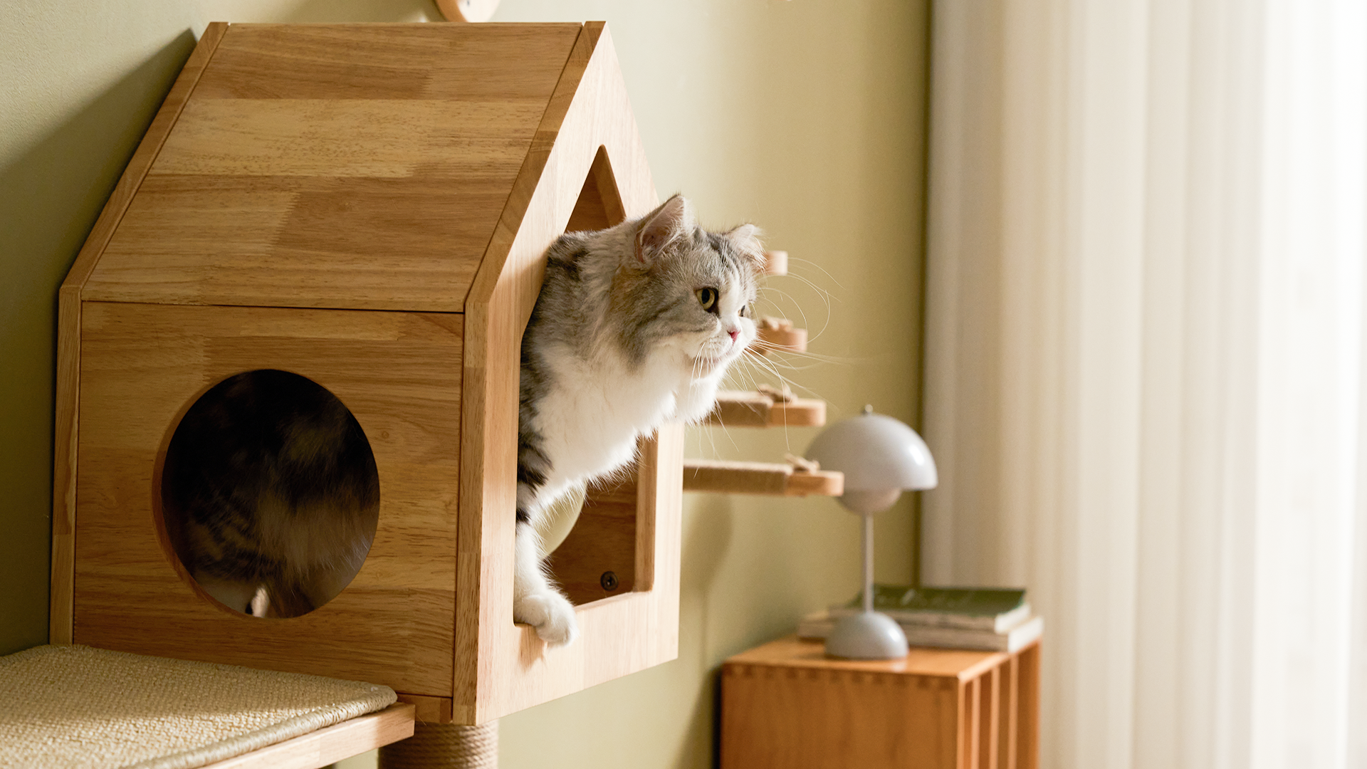 FUKUMARU Katzen Wand, Wandmontiertes Katzenhaus Aus Hochwertigem Birkensperrholz Perfekter Ort Zum Schlafen Und Spielen Mit Schlichtem Design 81286093