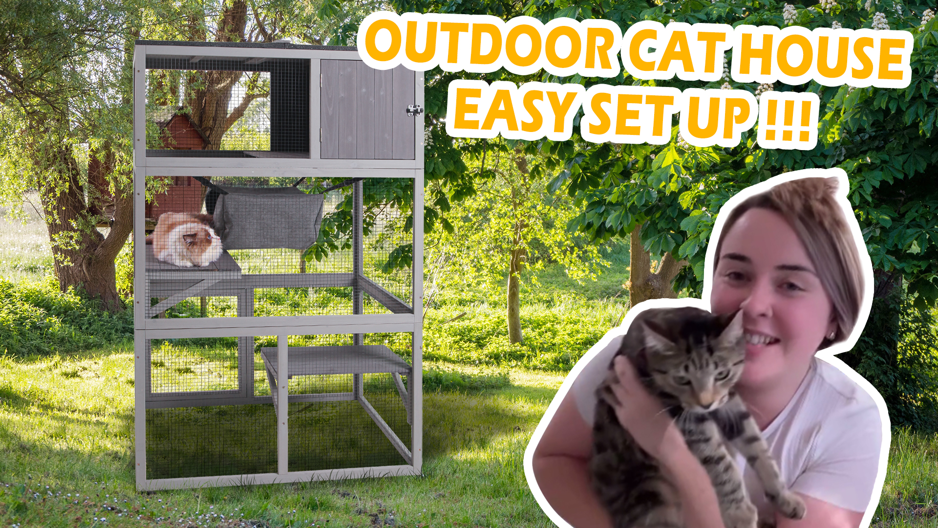 Amazon.com: X-Zone Catio Wooden Outdoor Cat Enclosure with Asphalt