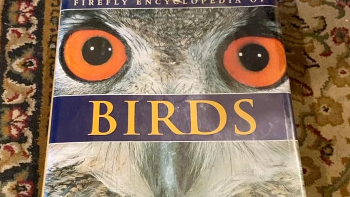 Oxford英語絵本170冊 songbirds Fireflies 多読 Julia Donaldson's Songbirds Read with Oxford Phonics 36