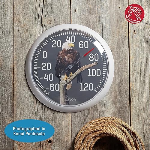 Miniatura 3 de Taylor Nature Series Eagle - Termómetro de esfera para interiores y exteriores, decoración de pared fácil de leer para patio, piscina, patio, jardín