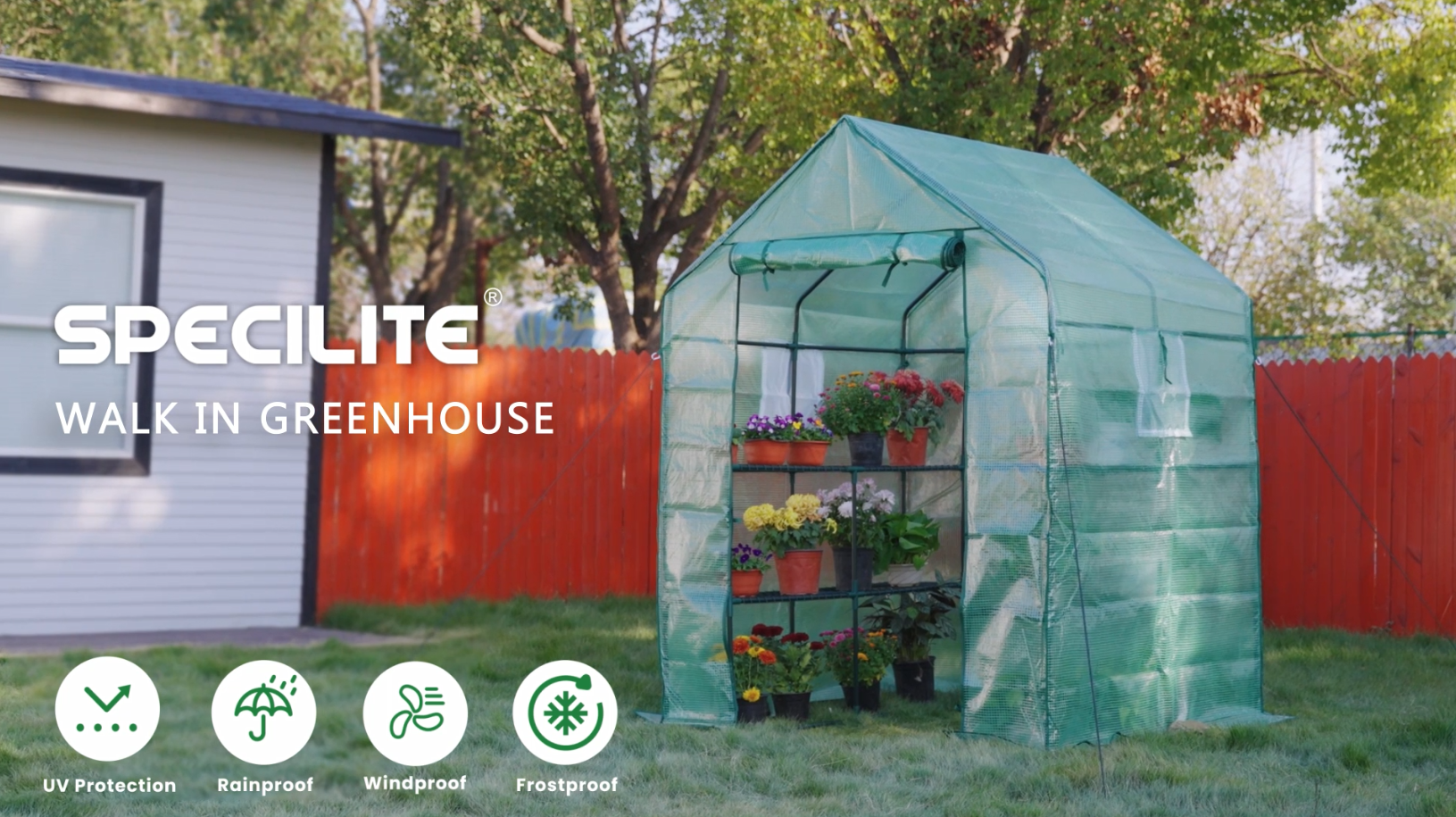 Amazon.com : SPECILITE 56×56×78Inch Walk-in Greenhouse, Heavy Duty