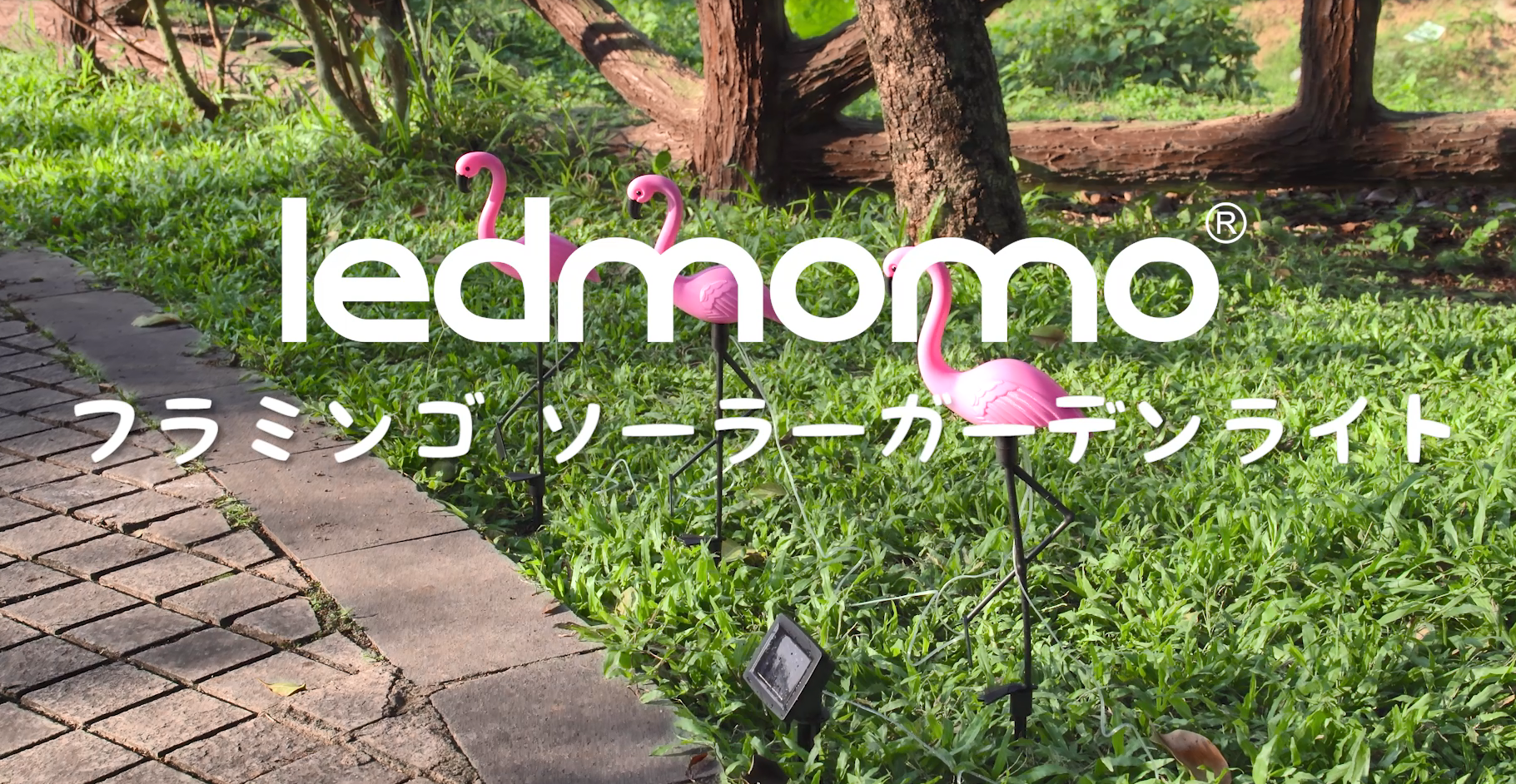 Amazon.co.jp: ledmomo 3点セット フラミンゴガーデンライト ソーラー