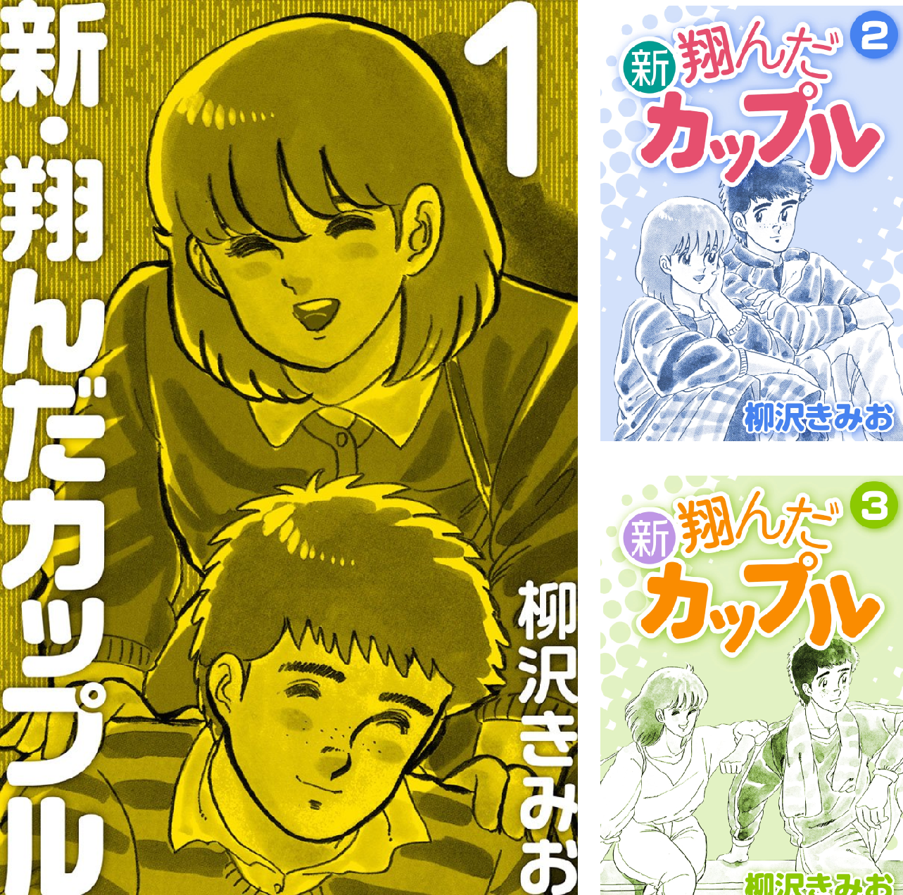 柳沢きみお / 翔んだカップル 全15巻、新翔んだカップル　全４巻、続翔んだカップル　全7巻　合計全２６巻完結　個人蔵書　中古美品　 新 翔んだカップル (全4巻) Kindle版