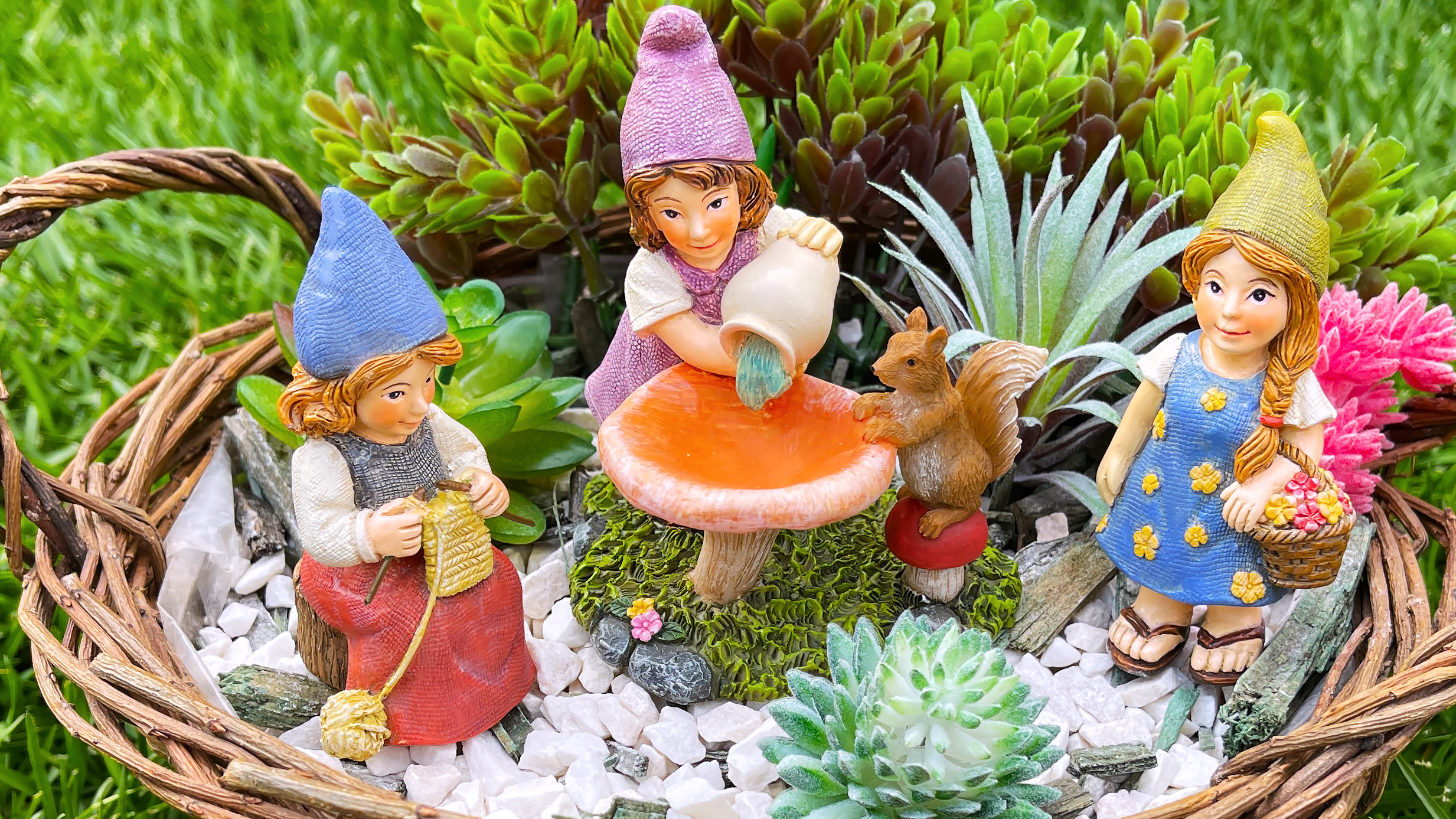 gnome セット Amazon.com: Mood Lab Miniature Garden Gnomes - Lady Gnomes Kit of