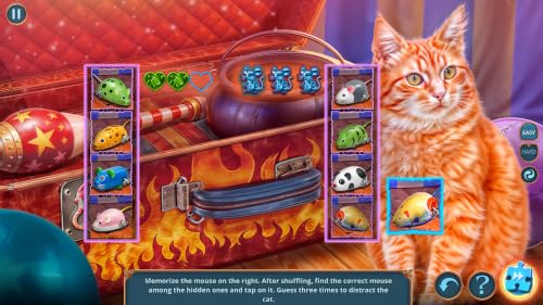 Objets Cachés - Detective Club: Carnaval de secrets (Free To Play) – vue 6