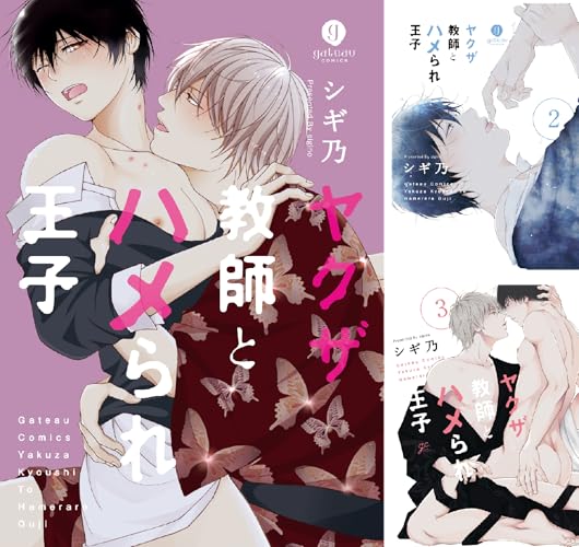 ヤクザ教師とハメられ王子