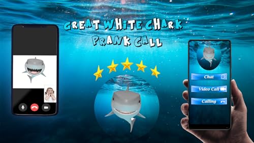 Call From Great White Shark - Live Video