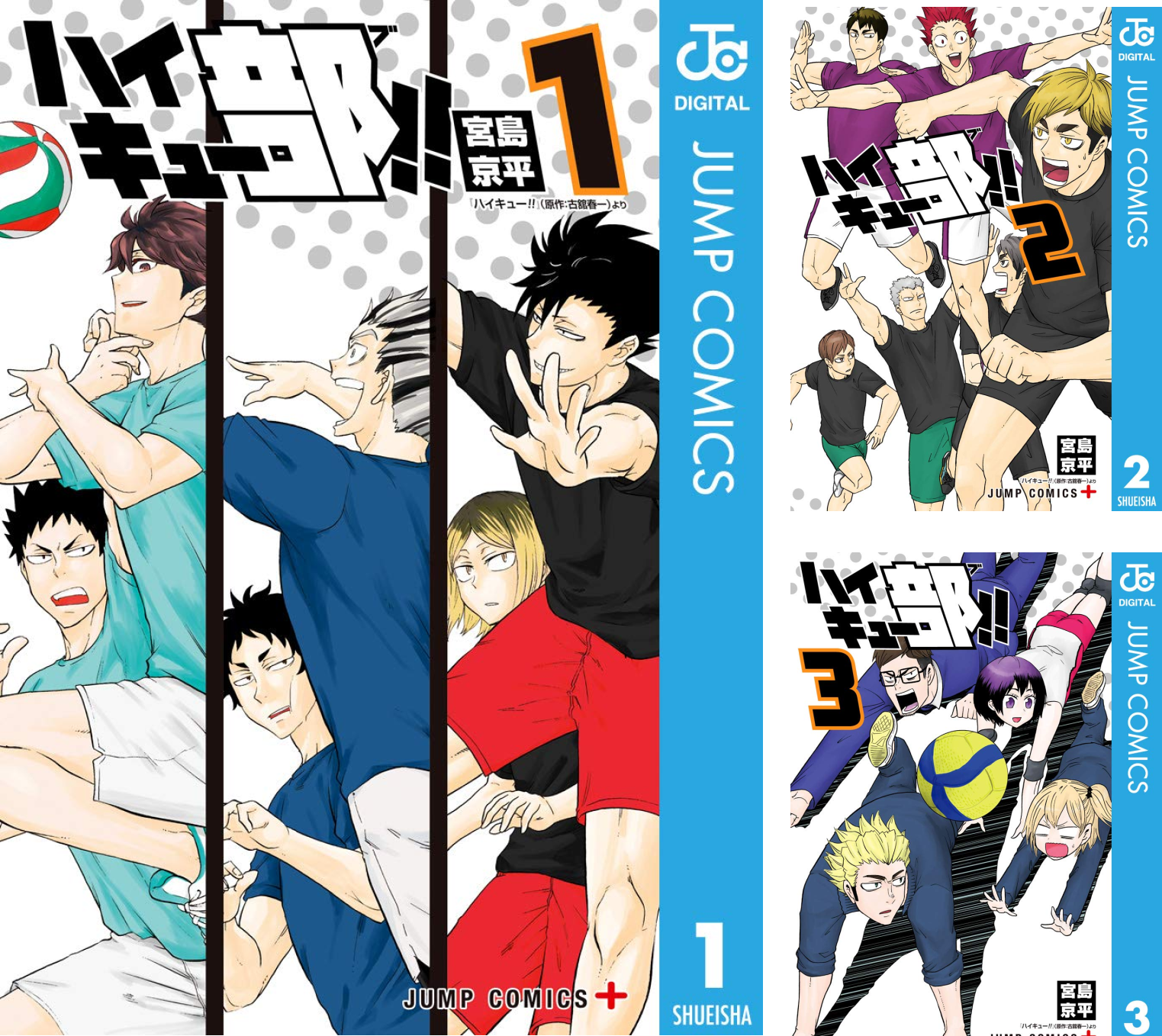 Nicoおすすめ品♡ ハイキュー部！！全巻セット1-14 初版帯 B1ArOvERB2S.png