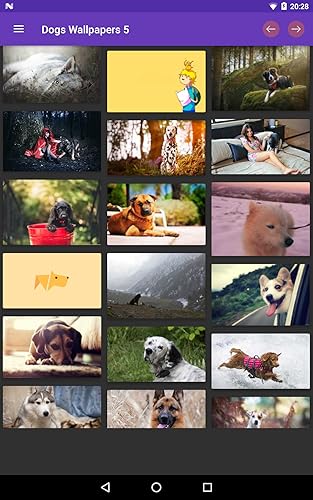 Dogs Wallpapers