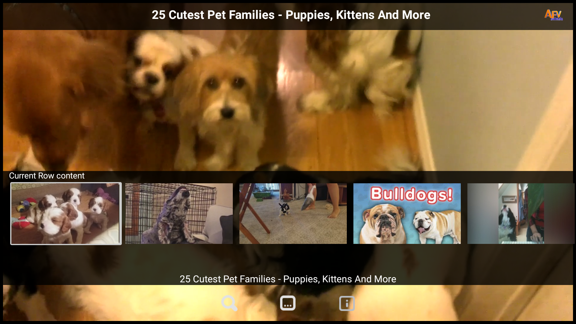 AFV Animals-Animal & Pet Video - App on Amazon Appstore