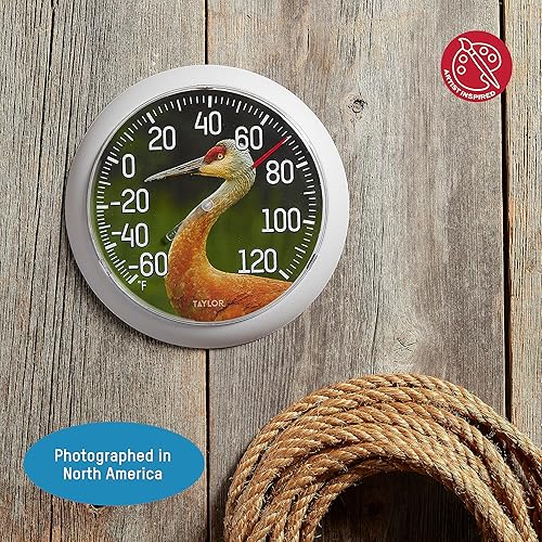 Miniatura 3 de Taylor Nature Series Sandhill Crane - Termómetro de esfera para interiores y exteriores, decoración de pared fácil de leer para patio, piscina,