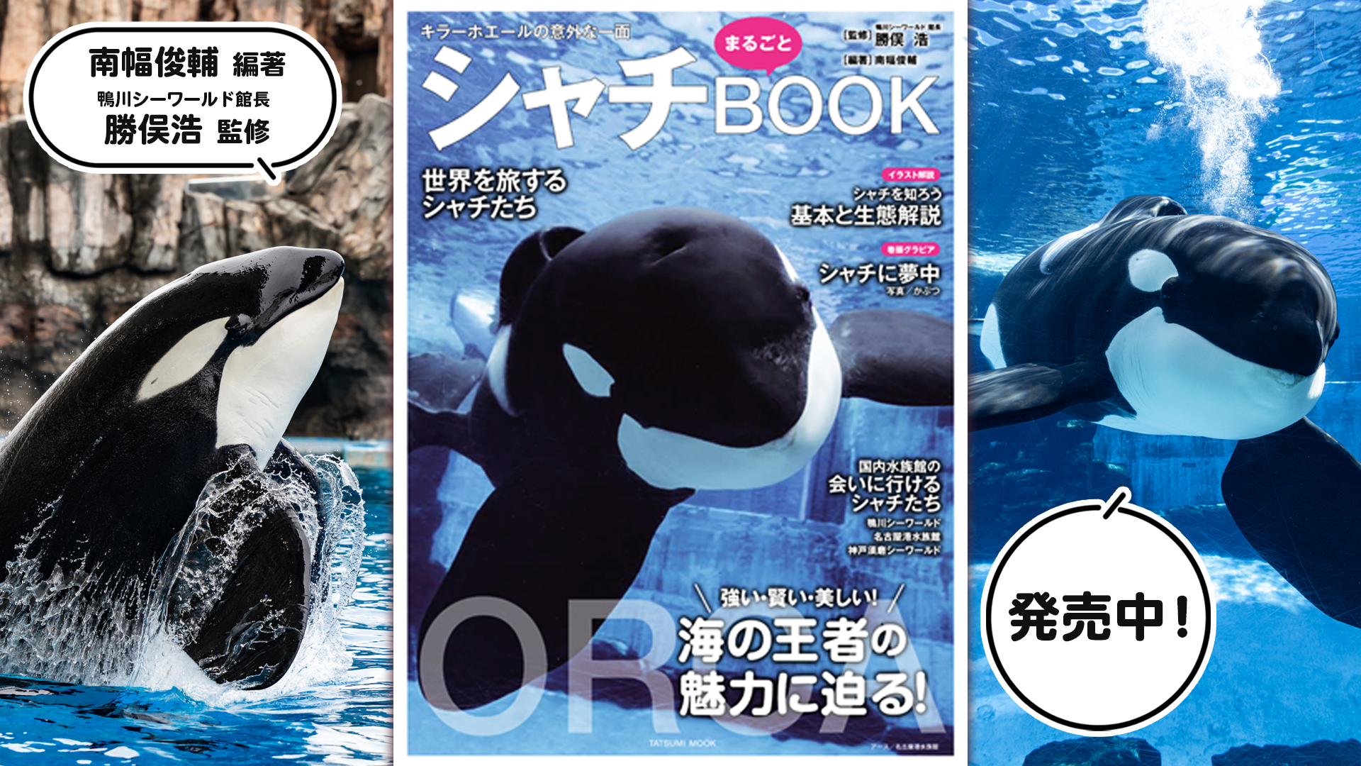 しゃち様専用 しゃち 様専用 専用ページ052 しゃちさま専用ページ