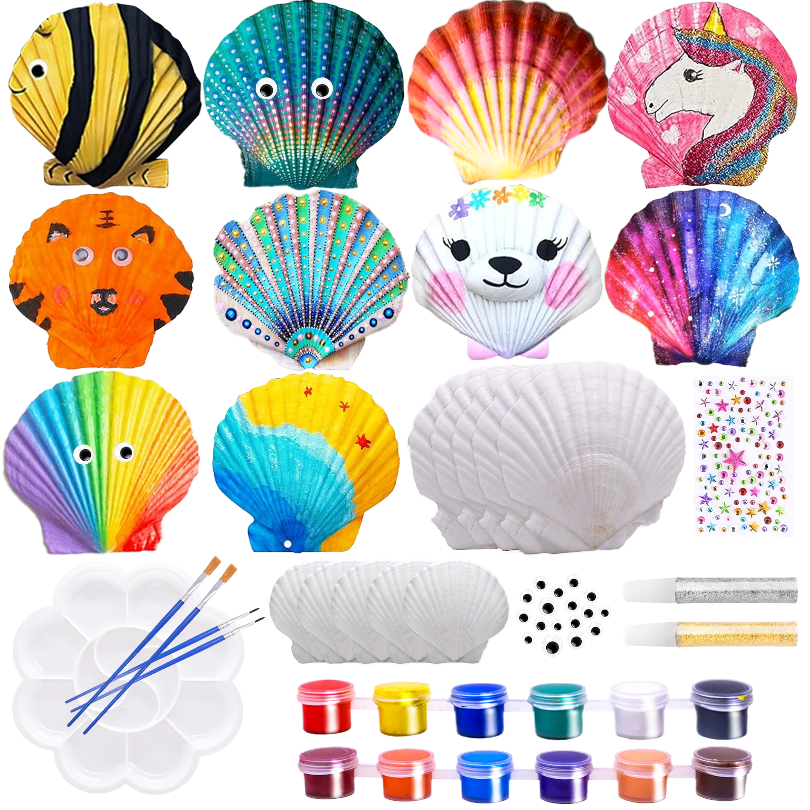 Muschel-Bastelset Für Kinder – Mit 11 Muscheln, Farben, Knete & Zubehör, Ab 4 Jahren