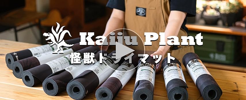 Amazon | Kaiju Plant 怪獣ドライマット すぅっと吸水 珪藻土練り込み