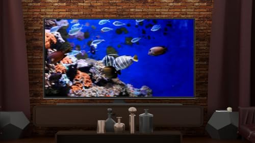 Aquarium de poissons tropicaux - Téléviseur récifal 4K Relax – vue 5