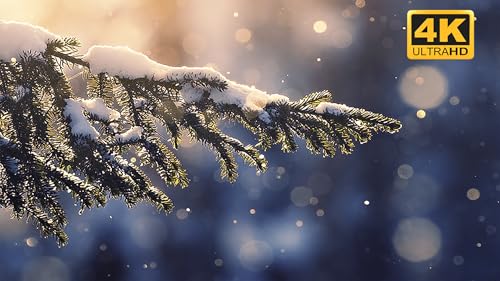 Christmas Screensaver 4K No ADS