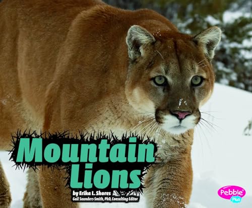  Mountain Lions