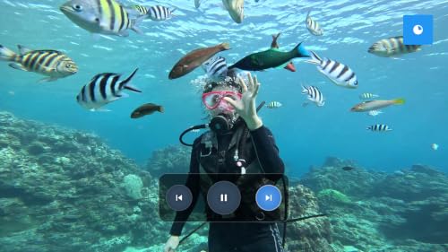 Plongée sous-marine Deep Sea Explorer : une aventure avec des vues sous-marines époustouflantes – vue 6