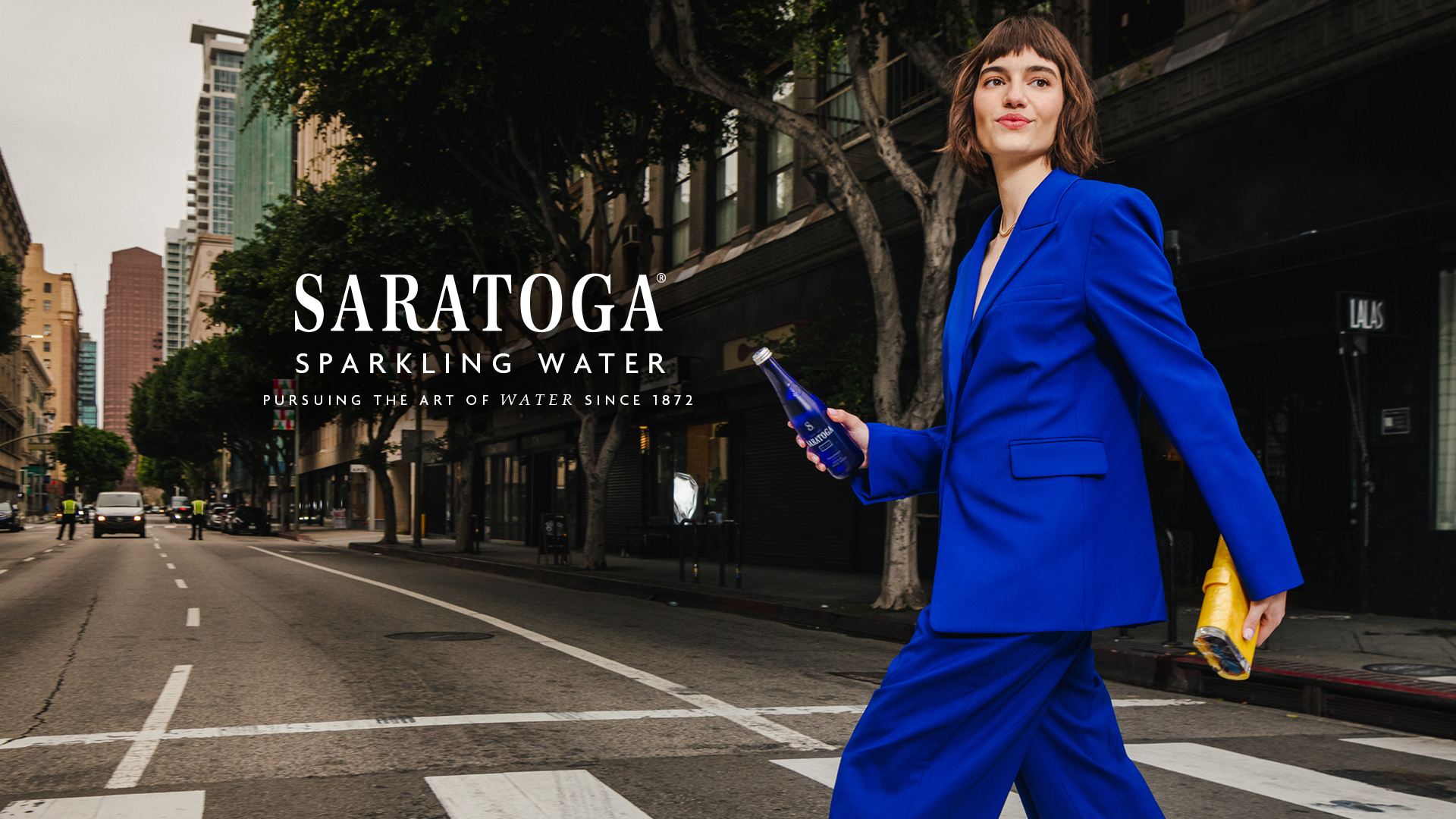 Amazon.com : Saratoga Spring Water, 12 Pack, 16 Fl Oz | Still