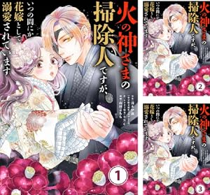 火の神さまの掃除人ですが、いつの間にか花嫁として溺愛されてい