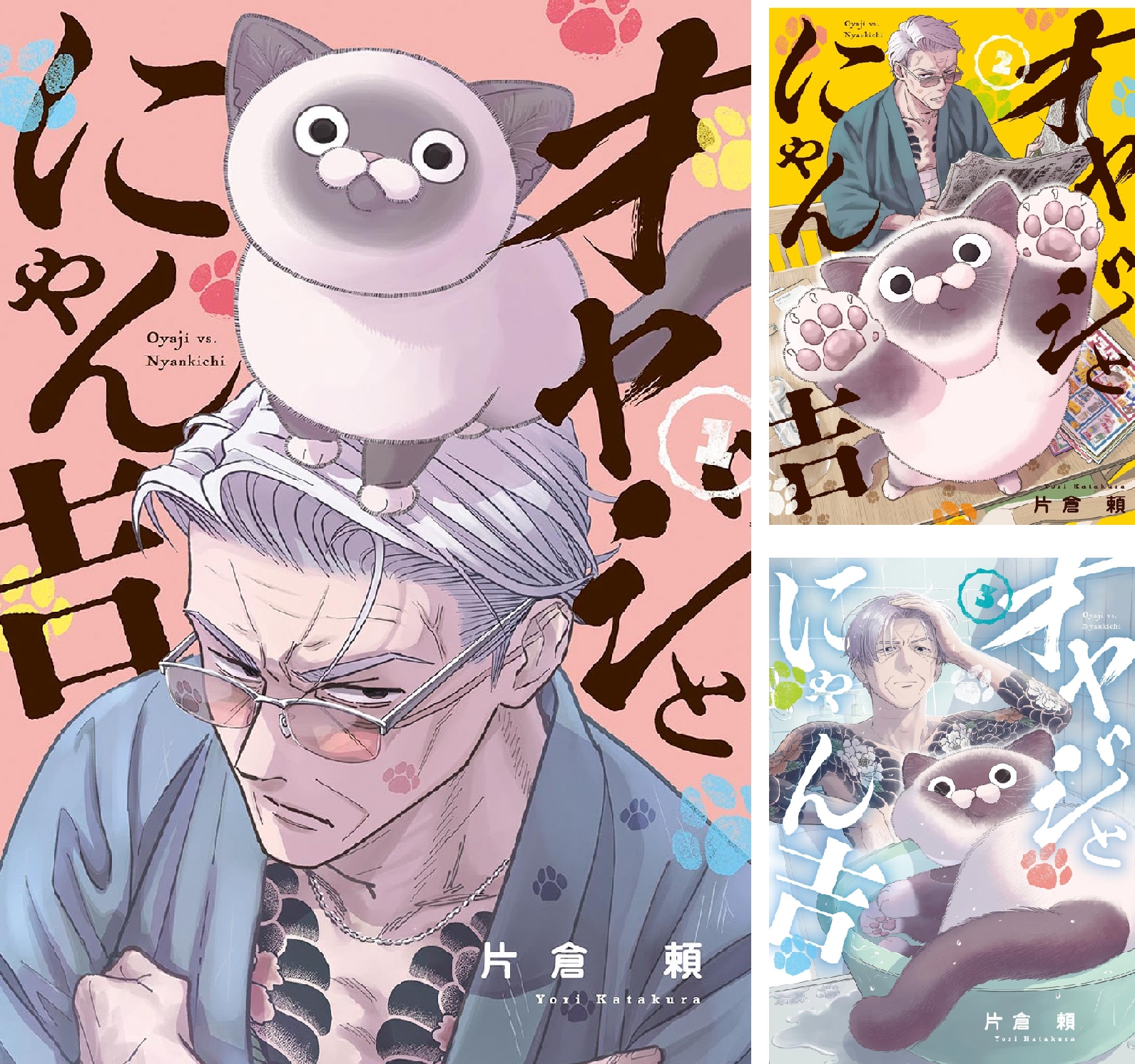 B1CKDUpzACL.png