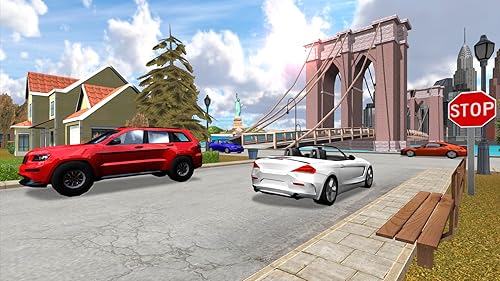 Car Driving Simulator: New York